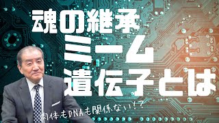 【魂の継承ミーム遺伝子とは 】肉体もDNAも関係ない！？