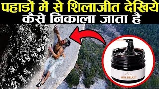 देखिए पहाड़ो से शिलाजीत कैसे निकला जाता है how is shilajit extracted