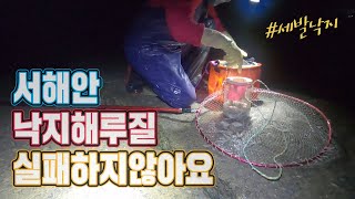 지금부터 낙지 해루질 시즌!! 초보자도 간단히 즐길 수 있어요~~