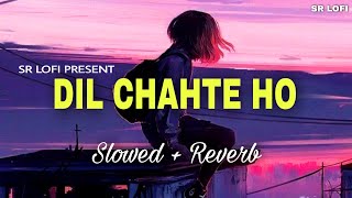 Dil Chahte Ho - Lofi (Slowed + Reverb) | Jubin Nautiyal, Payal Dev | SR Lofi