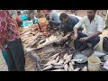 indian fish market in bareilly up भारतीय मछली बाजार बरेली