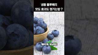 냉동 블루베리 이렇게 먹으면 맛도 효과도 좋습니다. #shortsvideo