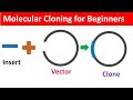 Molecular Cloning for Beginners: Definition, Workflow and Application