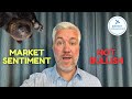 Market Sentiment Indicators Confirm Bearish Phase | August 2024 Update!