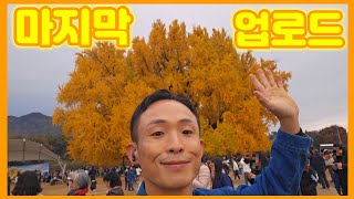 나의 마지막 유튜브 영상👋 #강릉 #vlog #반계리은행나무