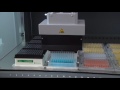 An MCA 96 is pipetting in 96 well format from trough to plate.