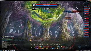 TERA　大乱戦 15VS15　【crises】