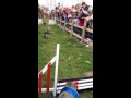 Pig racing at Pennywell Farm