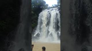 maankombu falls|#tamilnadu |#tourisam |#nature |#vdcvlogs |#waterfall |#villagelife