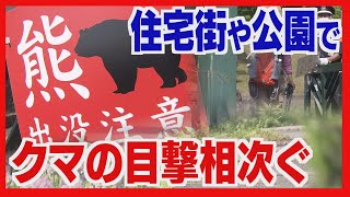 札幌の住宅街や公園でクマの目撃相次ぐ