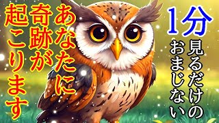 【即効性あり】あなたに奇跡が起こる超幸運引き寄せ波動417Hzのおまじないヒーリングです