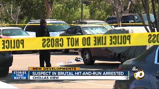 Suspect in brutal hit-and-run arrested