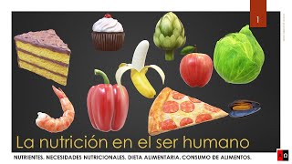 La nutrición en el ser humano