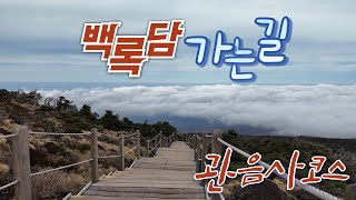 백록담 가는길 - 관음사 코스. 4K.