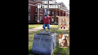 The Way of the Rabbit Redux