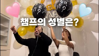 👼 챔프의 성별은? 과연 아들일까 딸일까! 젠더리빌 파티 \u0026 친구들 반응ㅣ국제 커플 브이로그ㅣ런던 귤언니ㅣ한국 헝가리 커플