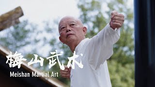 Meishan martial art | 梅山武术：桩稳势固，文武兼修