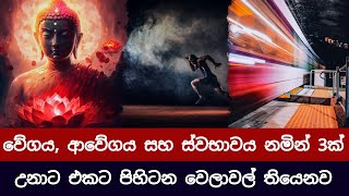 ආවේගය පාලනය කරගත්තෙ නැත්නම් ඔබ මේ වෙලාවෙ මෙය අහන්නෙත් නැහැ