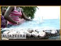 🐟 Ivory Coast: Does smoking fish the traditional way cause cancer? | Al Jazeera English