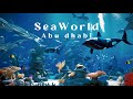 Seaworld Abu Dhabi | Yas Island