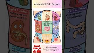 Abdominal Pain Explained 🔥 | 9 Regions of Stomach Pain & Their Causes | Medical Animation