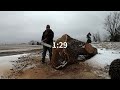 25 and 36-inch bar on a 462 Stihl vs 32-inch walnut log. Which one was faster?