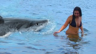The Horrifying Last Moments Of Sarah Jamieson (Shark Attack)