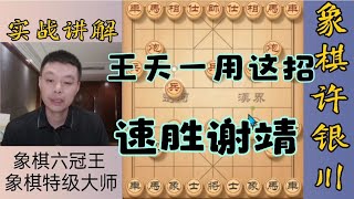 许银川特大：我记得王天一曾经用这招“快马出击”速胜谢靖