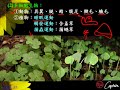 10602高一基礎生物1 1 06運動一禮