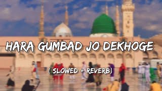Lofi - Hara Gumbad Jo Dekhoge Full Track | Madina Madina | Mere Aaqa Ko Dekhoge | New Naat Sharif