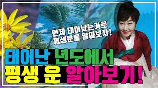 태어난 년도에서 평생 운 알아보기! (전국유명점집 서울점집 강남점집 광명점집 시흥점집 목동점집 대구점집) 상담전화 : 010-4830-4328