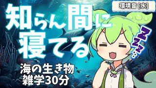 【睡眠導入】知らない間に寝てる海の生き物雑学30分【ASMR】【ささやき】広告無し