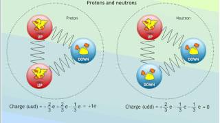 beta decay and quark changes animation