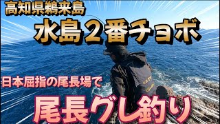 高知県鵜来島で尾長グレ釣り！サメが〜！！