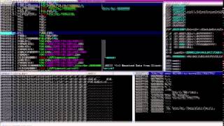 DC813: Malware Analysis: Buffer Overflows Sunny Wear - Part1