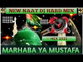 Marhaba Ya Mustafa || Dj Naat || New Naat || 12 Rabi ul Awwal Naat || Latest Naat || Dj Danish