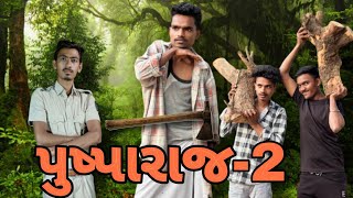 પુષ્પા પાર્ટ:-૨ || pushpa part:-2 || gujarati comedy video || PN comedy