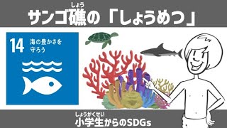 SDGs目標14｜サンゴ礁の「しょうめつ」｜小学生からのSDGsミニ