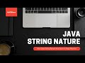 Java | String Nature | How String Stores Value #java #programming