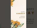 Happy Sunday [YouTube] Short Video