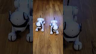 🐾 Taucht ein in die Welt von Ziggy, dem erstaunlichen Roboter Hund Spielzeug!