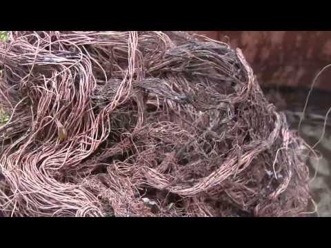 Experiment: (Works - Kind of!) Cleaning Burnt Copper Wire with Molasses (Sugary Syrup) Part 2 Experiment: (Works - Kind of!) Cleaning Burnt Copper Wire with Molasses (Sugary Syrup) Part 2