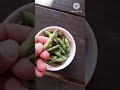 viciafaba broadbean favabean fababean vegetable shortvideo trending shortsfeed viral bakla