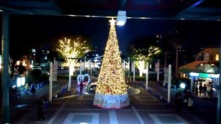 ニッケ コルトンプラザ✨🎄✨イルミネーション2