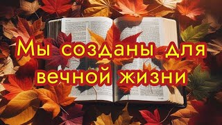 Мы созданы для вечной жизни