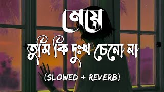 Meye [Slowed+Reverb] - Ayub Bachchu | মেয়ে তুমি কি দুঃখ চেনো না