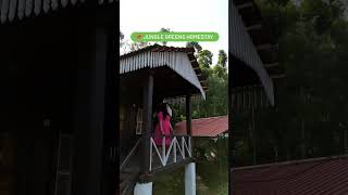 Jungle Greens Chikmagalur Homestay | Best Homestays in Chikmagalur | Resort like Homestay 8792066102