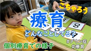 療育（個別療育）の記録ーどんなことしてる？【ダウン症ー3才11か月】