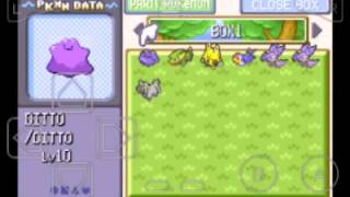 Pokemon With Mega Evolution In Pokemon Glazed Contecessborp