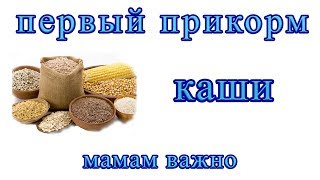 Когда и Как нужно вводить каши в первый прикорм?